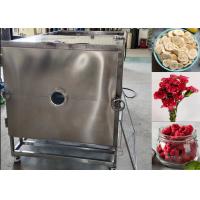 China Large Food Vacuum Freeze Dryer Machine Lyophilizer Equipment on sale
