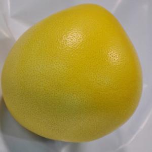 China 2020 Crop Fresh Honey Pomelo Fast Fresh Food For Lungs / Throat / Blood Circulation supplier