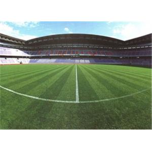 China Outdoor PE PP Multifunction Playground Synthetic Artificial Grass Football Field supplier