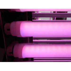 New Designed 6W/8W/18W/24W Full Plastict8 LED Pink Tube for Meat Display