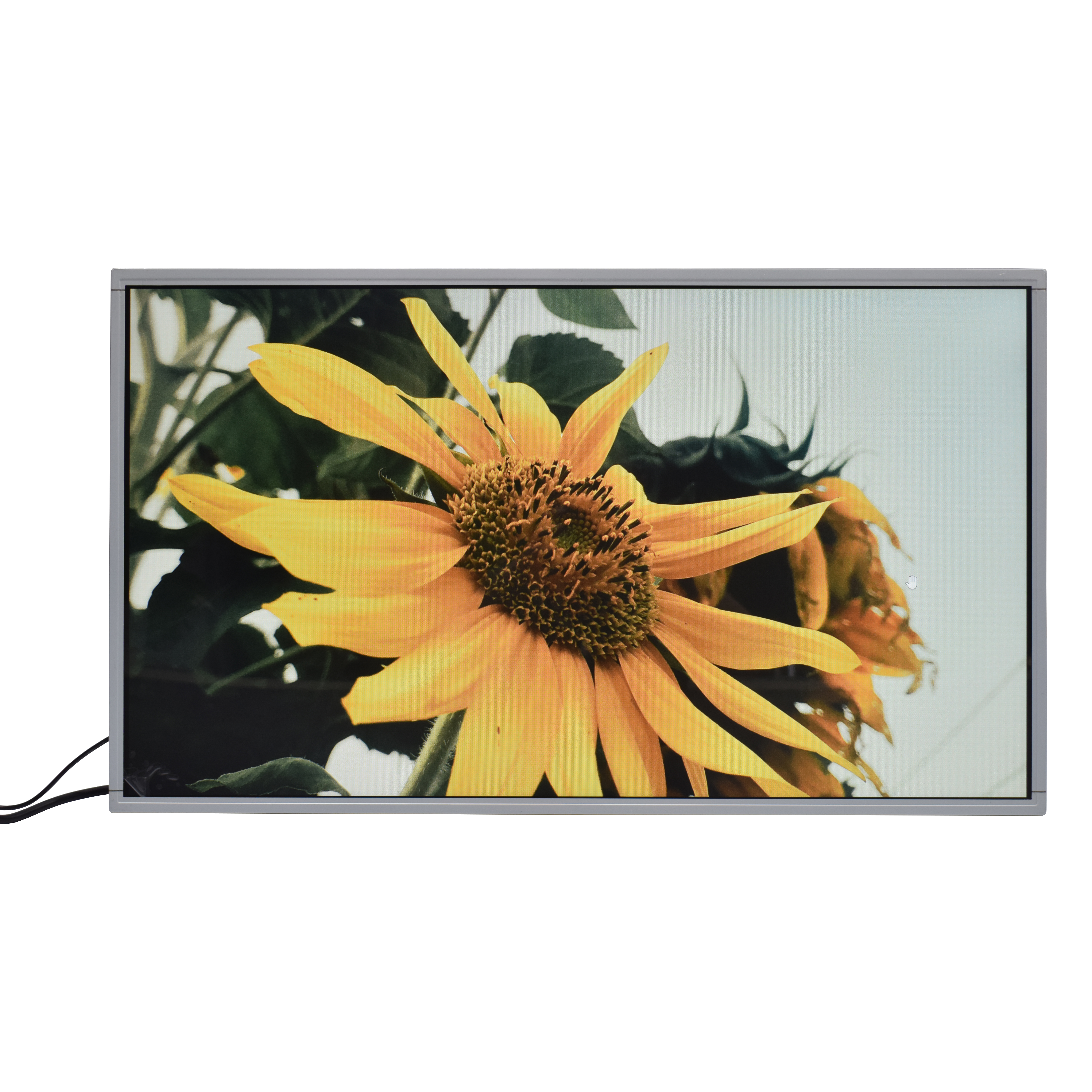 China 1080p 32 pulgadas TFT Panel de pantalla LCD de alto brillo con interfaz LVDS 1920x1080 supplier