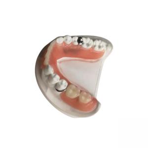 China 3D Printed Zirconia Dental Crown Quality Assurance Custom Made Removable Dentures supplier