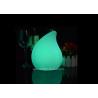 Multi Color LED Decorative Table Lamps , Remote Control Battery Operated Night Light