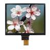China MIPI  Practical OLED Display Module , Multifunctional OLED Touch Panel wholesale