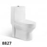 India Middle East Bathroom Ceramic 100/230/250/300mm Roughing-in Washdown One