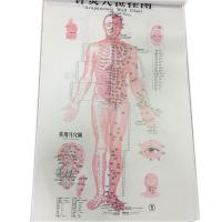 China English Acupuncture Wall Chart 7PCS Per Set Human Acupuncture Chart on sale