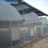 China Commercial Poly Tunnel Greenhouse Automated Agriculture Multi Span Greenhouse on sale