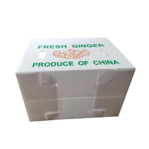 China OEM Corflute Fresh Ginger Box Folding Corrugated Plastic Box supplier