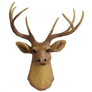 China Artificial Fiberglass Deer Head For Shop Decoration wholesale