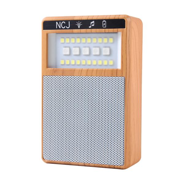 Glowy Wireless LED Portable Bluetooth Speaker Illuminated Beaming