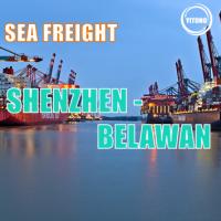 China NVOCC Shenzhen China To Belawan Indonesia Ocean Cargo Logistics International on sale