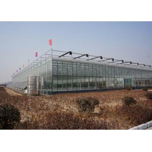 Commercial Glass Greenhouse , Hydroponic Greenhouse With Climate Control System