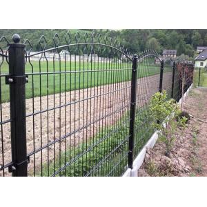 China 656 / 868 Double Wire Mesh Fence , Wire Fence Gate Round Post 50MM supplier