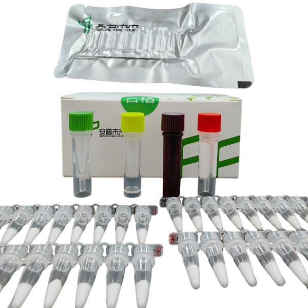 14 meses de validez El kit de detección de patógenos de EXO Pseudomonas Aeruginosa