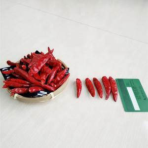 China Get Red Chilli Pepper Ring Optimal Size 0.5-1.5cm B2B Buyers Top Choice supplier