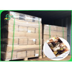 China 180gsm Waterproof High Density Hight Glossy RC Photo Paper For Picture Printing supplier