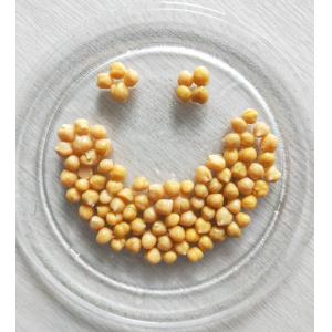 China Cheap Price Canned Chickpeas Wholesale Preserved Chick Peas 400g supplier