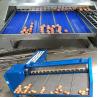 China Máquina de clasificación de huevos precisa con una capacidad de 5400 huevos por hora y fácil de operar wholesale