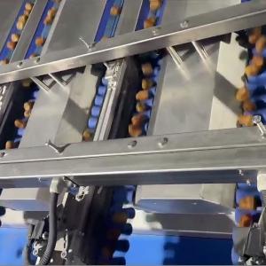 China Machine de tri de dates intelligente dotée d'apprentissage profond par IA, de matériaux de sécurité de qualité alimentaire et d'une décharge intelligente à sorties multiples wholesale