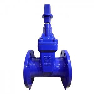 China BS5163 2 Inch Flanged Gate Valve Ductile Iron Gate Valve supplier