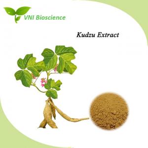 Natural Kudzu Root Extract Enhance Immunity Pueraria Extract