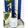 China  Advanced Cold Plasma HEPA Air Purifier for Safe and Effective Air Sterilization wholesale