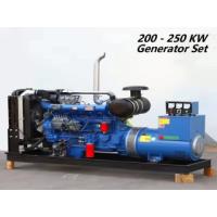 China Blue 200kw Diesel Generator Leroy Somer Alternator Electric Generating Set on sale