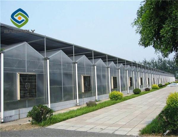 1.2 G/m3 Mult Span Polycarbonate Sheet Greenhouse