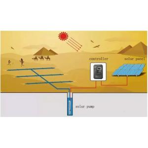 Electric DC Solar Water Pump Stainless Steel Fasteners 12V DC Remote Homes