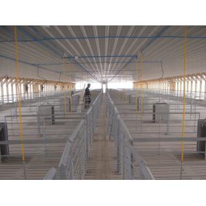 Galvanized Pig Farm Equipment Pig Farrowing Pen Gray Color Alkali Resistance