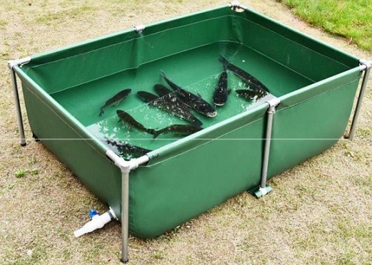 Customizable Capacity PVC Fish Pond with Lifetime More Than 10 Years and Durable 1.0mm-1.6mm Frame Thickness