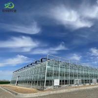 China Double Layer JX-Glass Green House for Vegetable/Flower/Fruits Automatic Irrigation System on sale