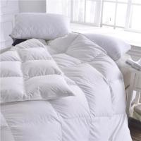 China Queen Size Fluffy Down Alternative Comforter Cooling and Reversible for Hotel Comfort on sale