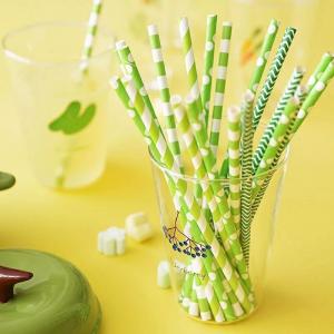 China Compostable colorful bamboo paper straws product by wuxi factory wholesale