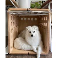 China Modern Push Up Solid Wood Dog Crate End Table With Acrylic Door on sale