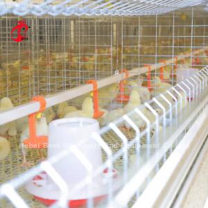 Baby Chick 2.5mm Brooder Cage Automatic Rearing System Rose