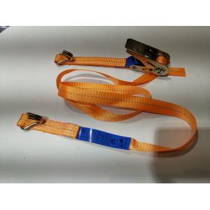 China Customized Color Ratchet Tie Down supplier