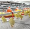 China Plastic Automated Poultry Feeder Drinker  ,  Full Automatic Animal Feeder wholesale