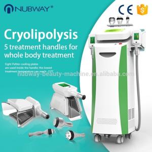 China Cool sculption weight loss Fat Freezing Cryolipolysis slimming machine supplier