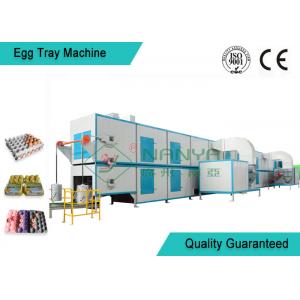 China Biodegradable Recycled Paper Egg Tray Machine with 3000Pcs / H Capacity supplier