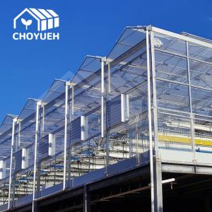Roof Ventilation Plant Commercial Glass Greenhouse With Inner Shading System
