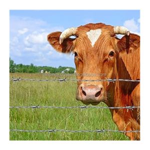 China Chaîne de liaison de clôture en fil barbelé 14x14 16x14 galvanisé avec une longueur de 20m/25m/30m/50m supplier