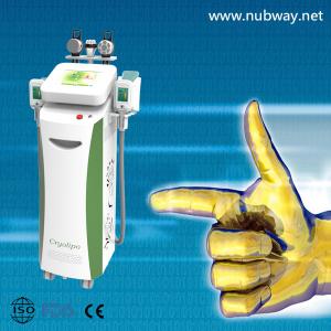 China Super fast amazing result cryolipolysis body shape equipment to lose weight supplier
