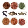 China Advanced Automatic Compact Carp Shrimp Fish Feed Making Machine for Space-Saving Operations wholesale