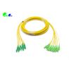 China 12cores Pre-terminated Fiber Patch Cable  LC APC - SC APC LSZH SM with Fanout 2.0mm Tails LSZH wholesale