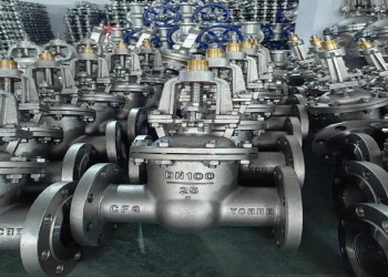 La valve de porte manuelle est de 1/2 pouce DN10-DN50 API ANSI DIN GOST