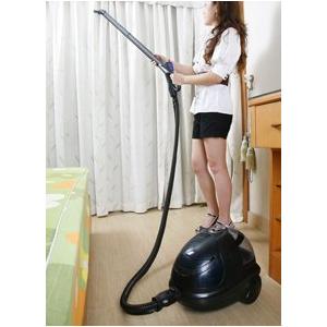 China High quality Portable Carpet Cleaner supplier