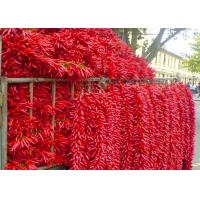 China Seedless Whole Dry Chilli Chaotian Sichuan Facing Heaven Chillies on sale