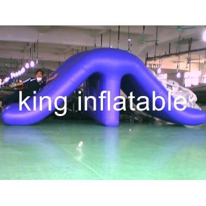 Big Kahuna Inflatable Water Slide / Large Plastic Water Slide For Backyard