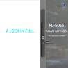 China Black Digital Cerraduras Electronica Smart Technology Security Keylock with Wifi Network wholesale